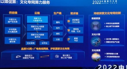 中国广电宋起柱 加快文宣领域算力服务创新，确保广电5G在“二十大”前全面商用