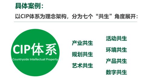 文化创意赋能乡村振兴 IP体系构建与数字文创内容应用服务的实践探索——以孙美华案例为视角